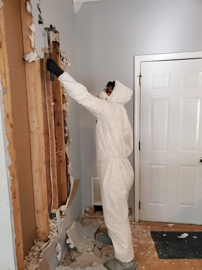 Mold Remediation & Removal in Lower Salford, PA